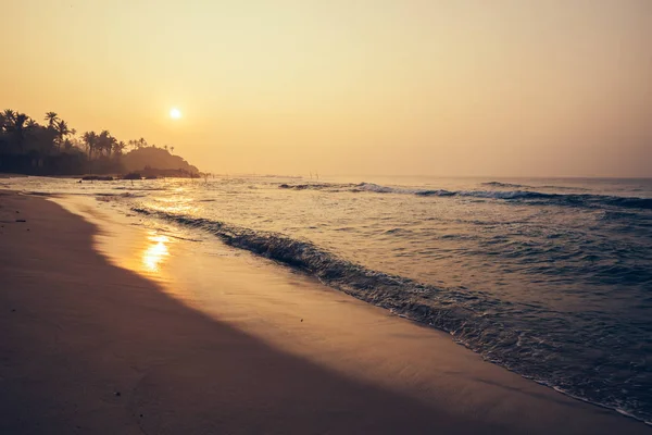 Tropik Ada Beach Sunrise Palmiye Ağaçları Ile Güzel Manzara — Stok fotoğraf