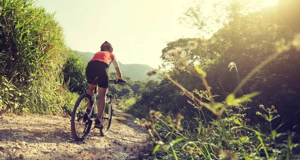 Vrouw Fietser Een Fiets Rijden Een Natuurleerpad Bergen Gezonde Levensstijl — Stockfoto