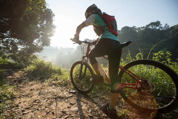 Giovane Ciclista Donna Con Mountain Bike Sul Sentiero Forestale Estivo — Foto Stock