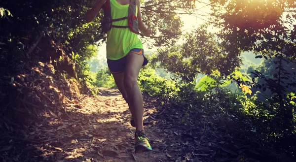 走在热带森林小道上的年轻女子小道跑者 — 图库照片