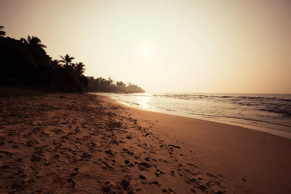 Tropik Ada Beach Sunrise Palmiye Ağaçları Ile Ayak Izleri — Stok fotoğraf