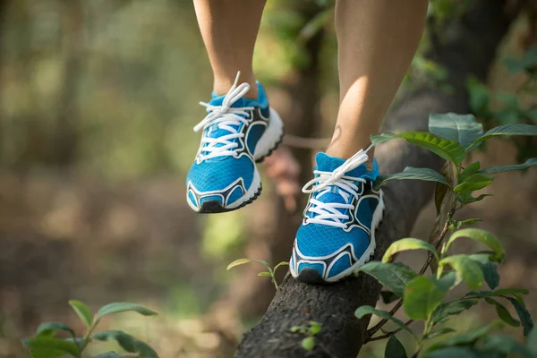 Sportvrouw Cross Country Trail Loper Benen Ontwaken Boomstam Het Bos — Stockfoto