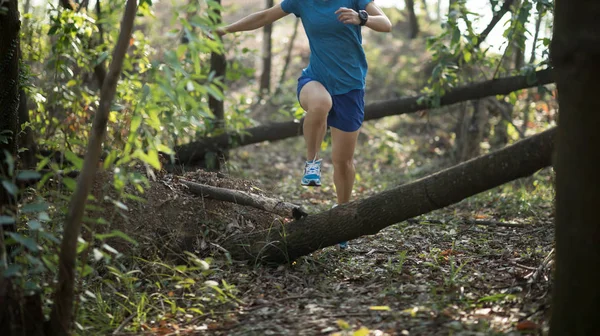 Deportiva Travesía Sendero Corriendo Bosque — Foto de Stock