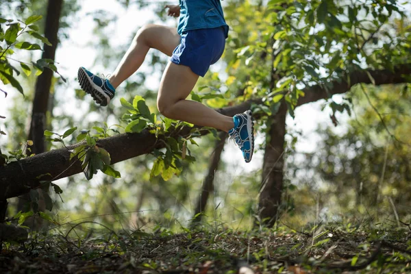 Deportiva Travesía Sendero Corriendo Bosque —  Fotos de Stock