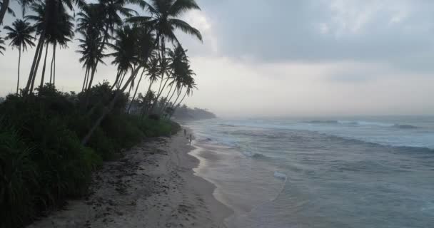 Piękny Krajobraz Tropikalnej Plaży Palmami Sunrise — Wideo stockowe