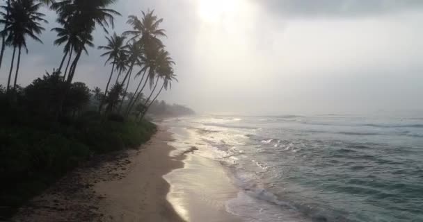 Beautiful Landscape Tropical Island Beach Palm Trees Sunrise — Stock Video