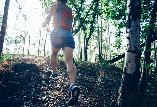 Sportvrouw Kruis Land Trail Die Bos Loopt — Stockfoto