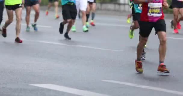 Maratón Piernas Corredor Corriendo Carretera Ciudad — Vídeos de Stock