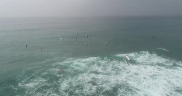 Aerial View Drone Surfers Paddling Catching Waves Surfing Indian Ocean — Stock Video