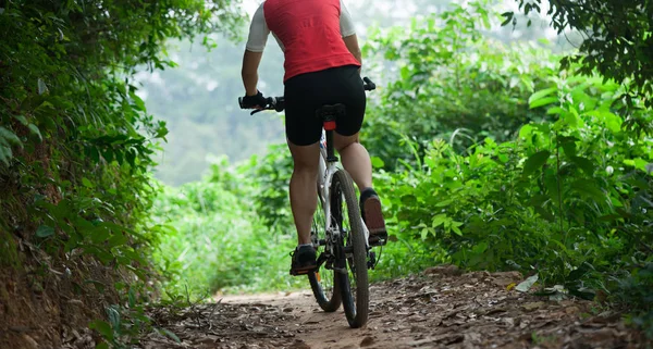 Vrouw Mountainbike Rijden Bospad — Stockfoto