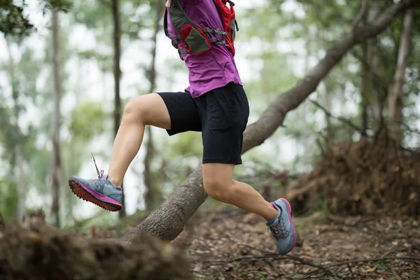 Deportiva Travesía Sendero Corriendo Bosque — Foto de Stock