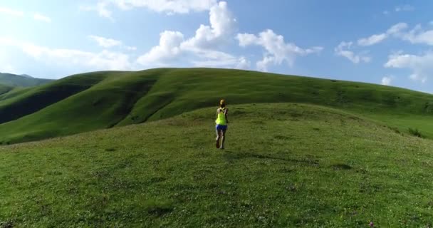 Young Fitness Woman Trail Runner Running Grassland — Stock Video