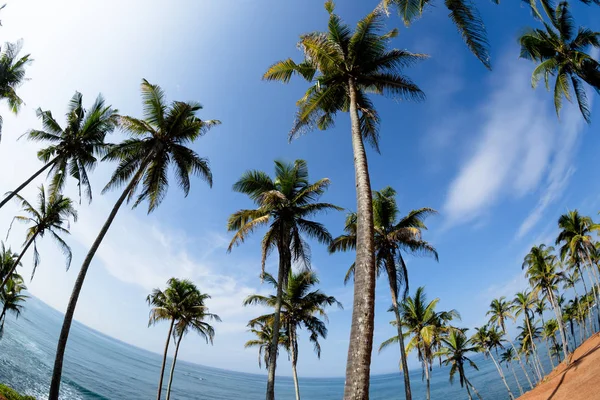 Wunderschöne Landschaft Des Tropischen Inselstrandes Mit Palmen — Stockfoto