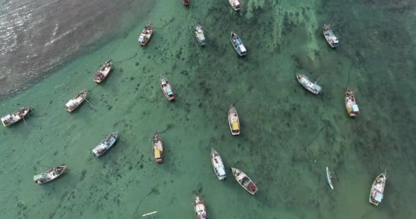 Αεροφωτογραφία Του Όμορφη Θαλασσογραφία Αλιευτικά Σκάφη Στην Ακτή — Αρχείο Βίντεο