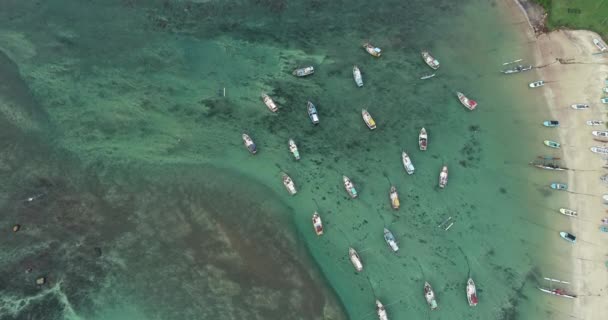 Veduta Aerea Bellissimo Paesaggio Marino Con Barche Pesca Sulla Costa — Video Stock