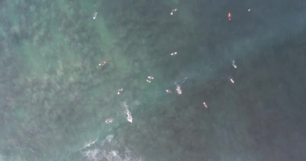 Aerial View Drone Surfers Catching Waves Surfing Indian Ocean — Stock Video