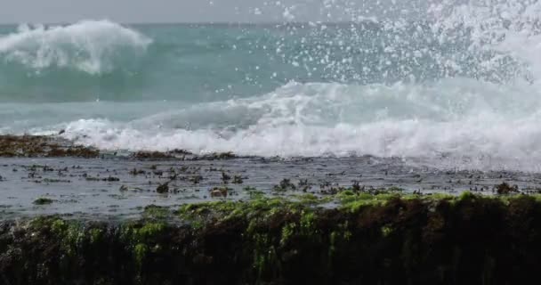 Immagini Ravvicinate Onde Oceaniche Che Lavano Spiaggia Tropicale Sulla Riva — Video Stock