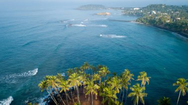 Sabah sahilde Hindistan cevizi ağaçlarının havadan görünümü, Sri Lanka