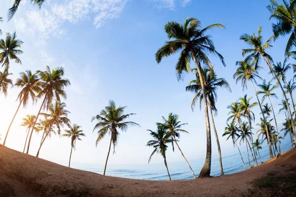 Hermoso Paisaje Playa Isla Tropical Con Palmeras — Foto de Stock