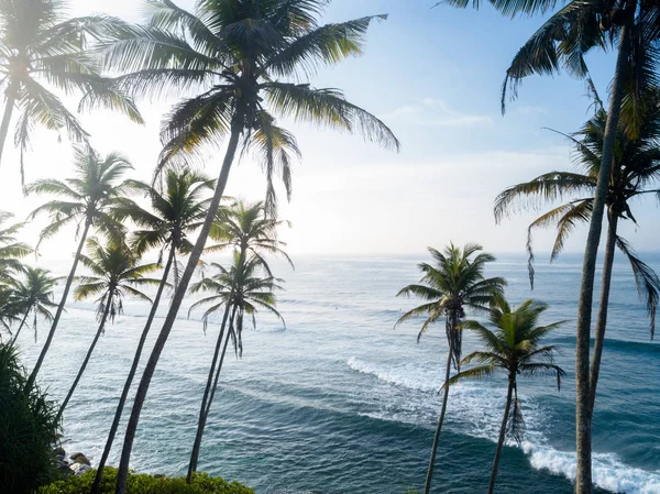 Luftaufnahme Von Kokospalmen Meer Morgen Sri Lanka — Stockfoto