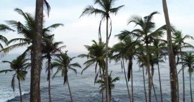 tropik ada Beach Sunrise palmiye ağaçları ile güzel manzara  