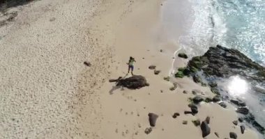 Palmiye ağaçlarının yakınında sahilde koşan kadın atlet