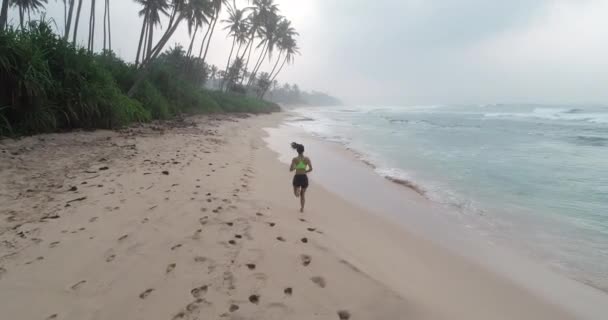 女运动员在棕榈树附近的海滩上奔跑 — 图库视频影像