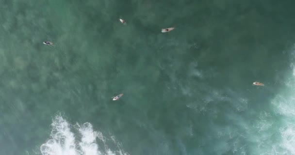 Aerial View Drone Surfers Catching Waves Surfing Indian Ocean — Stock Video