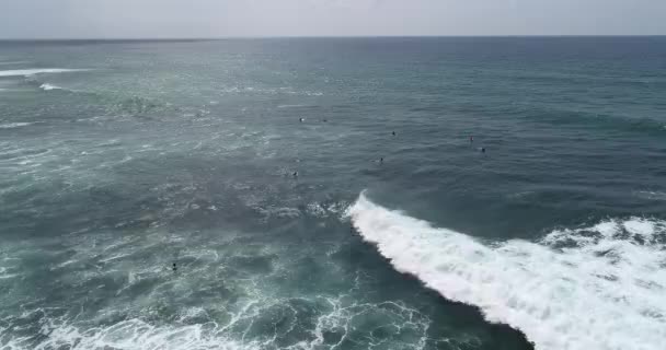 Aerial View Drone Surfers Catching Waves Surfing Indian Ocean — Stock Video