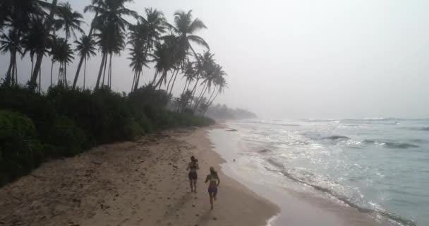 女运动员在沙滩上用棕榈树奔跑 — 图库视频影像