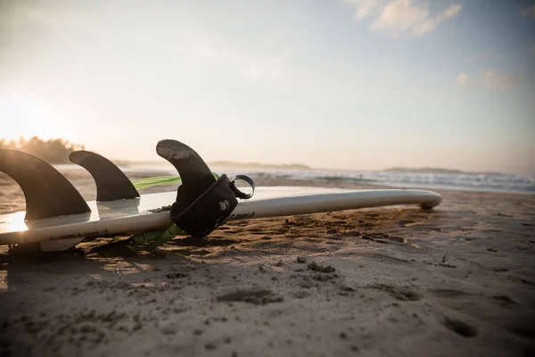 Planche Surf Sur Une Plage Sable Près Océan Lever Soleil — Photo