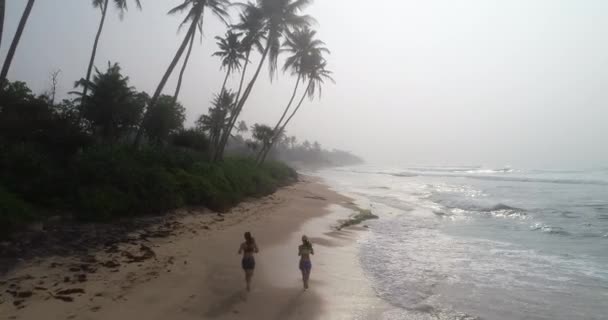 Vrouwelijke Atleten Lopen Het Strand Met Palmbomen — Stockvideo