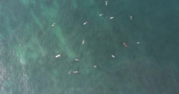 Luchtfoto Van Drone Van Surfers Voor Het Vangen Van Golven — Stockvideo