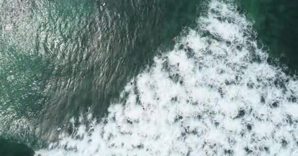 Vista Aérea Desde Dron Surfistas Para Captura Olas Durante Surf — Vídeo de stock