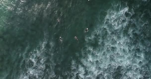 インド洋でのサーフィン中に波をキャッチするためのサーファーのドローンからの航空写真 — ストック動画