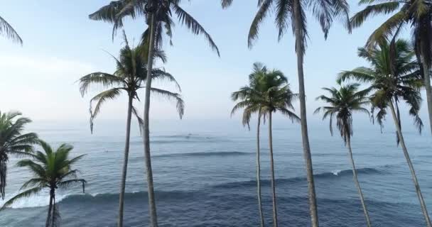 美丽的热带岛屿海滩的风景与棕榈树在日出 — 图库视频影像