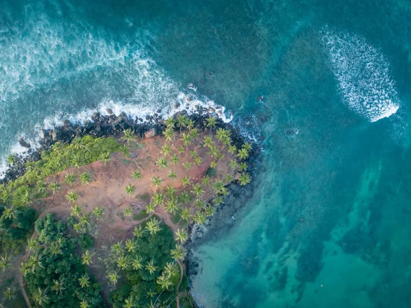 Вид Воздуха Кокосовые Пальмы Море Утром Шри Ланка — стоковое фото