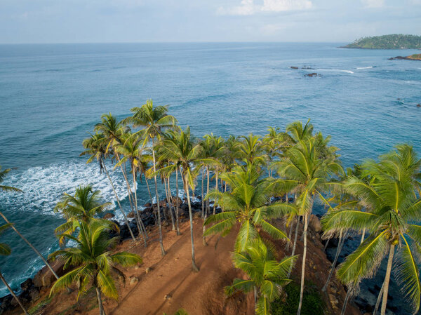 Вид с воздуха на кокосовые пальмы на море утром, Шри-Ланка
