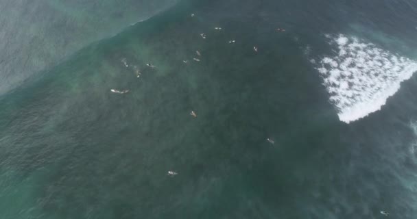 Letecký Pohled Dronu Surfařů Chytání Vln Během Surfování Indickém Oceánu — Stock video