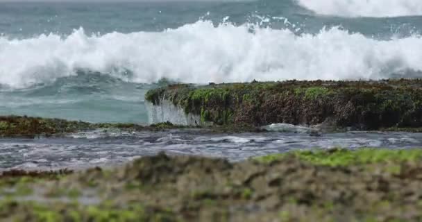 Immagini Ravvicinate Onde Oceaniche Che Lavano Spiaggia Tropicale Sulla Riva — Video Stock