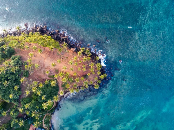 Luftaufnahme Von Kokospalmen Meer Morgen Sri Lanka — Stockfoto