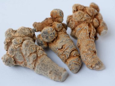Beyaz arka plan üzerinde Çin geleneksel bitki notoginseng