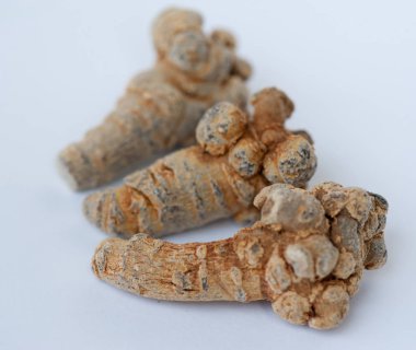 Beyaz arka plan üzerinde Çin geleneksel bitki notoginseng