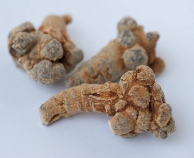 Beyaz arka plan üzerinde Çin geleneksel ot panax ginseng 
