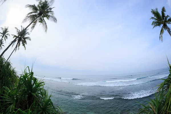 Vista Cocoteros Orillas Del Mar Bajo Cielo Azul Sri Lanka — Foto de Stock