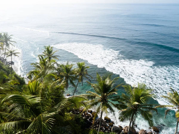 Luftaufnahme Von Kokospalmen Meer Sri Lanka — Stockfoto