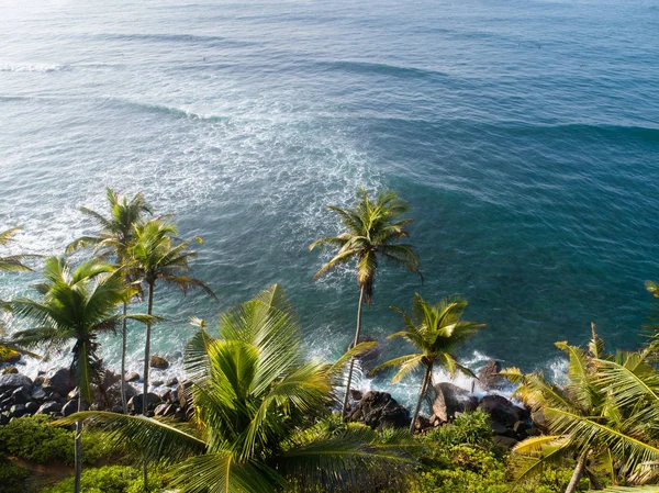 Luftaufnahme Von Kokospalmen Meer Sri Lanka — Stockfoto