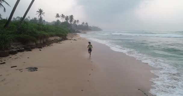 女运动员在棕榈树附近的海滩上奔跑 — 图库视频影像