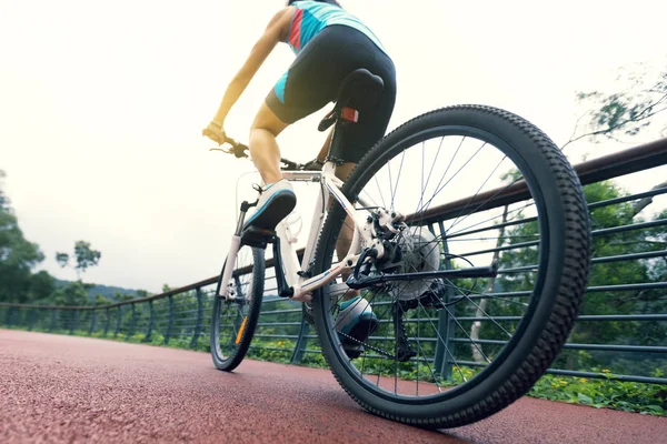 Woman Cyclist Riding Mountain Bike Forest Trail — Stock Photo, Image