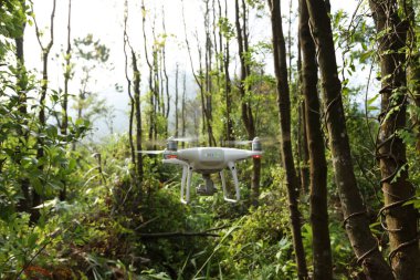 Beyaz dron tropikal ormanda uçan kamera ile